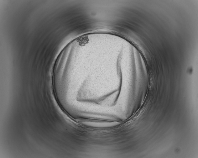 X0000099501483200806121404