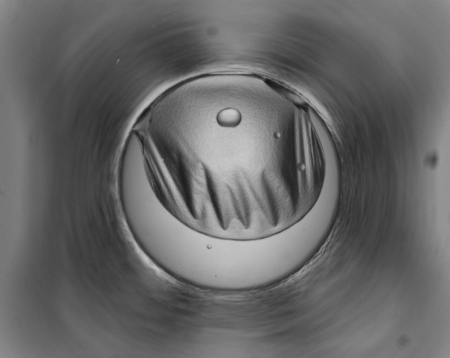 X0000099501484200806121404