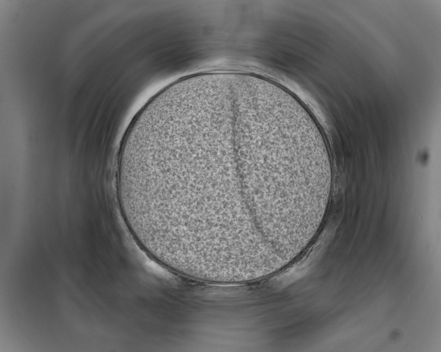 X0000099501486200806121404