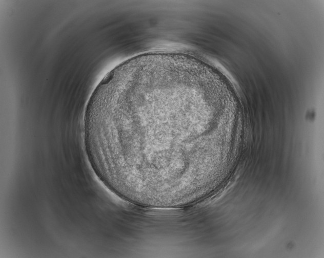 X0000099501487200806121404