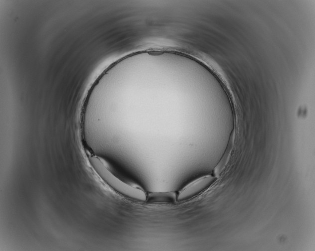 X0000099501488200806121404