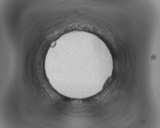 X0000099501489200806121403