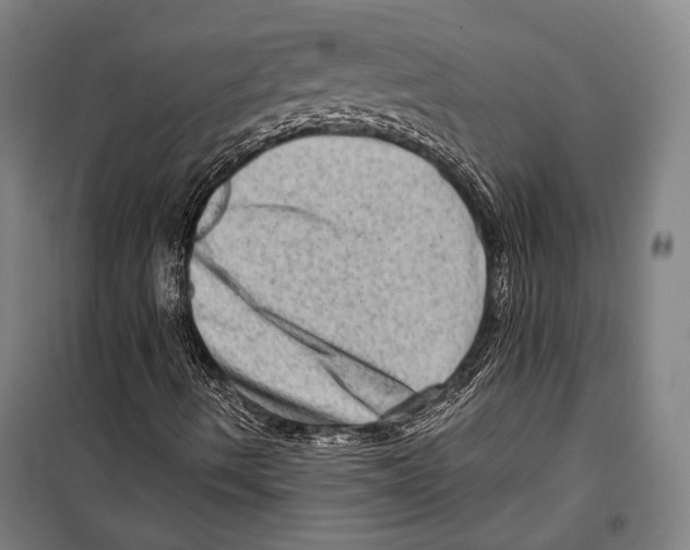 X0000099501490200806121403