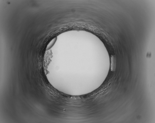 X0000099501491200806121403