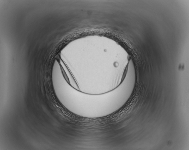 X0000099501492200806121403