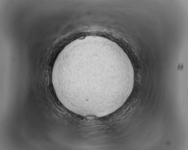 X0000099501493200806121403