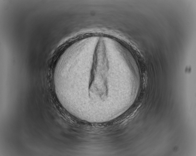 X0000099501494200806121403