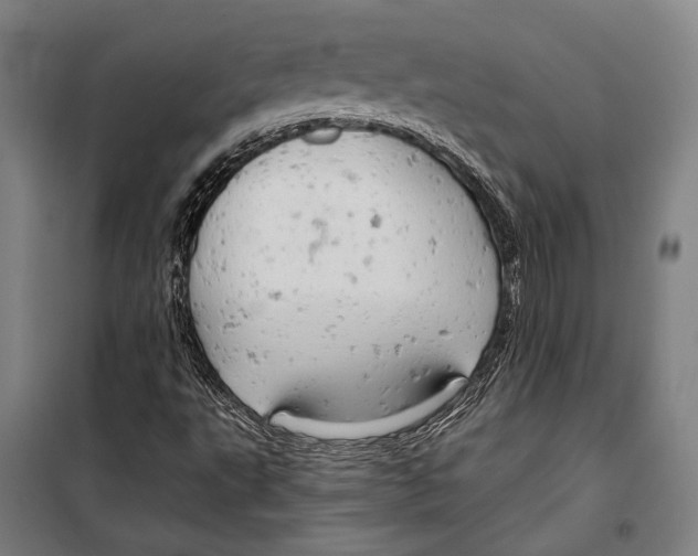 X0000099501495200806121403