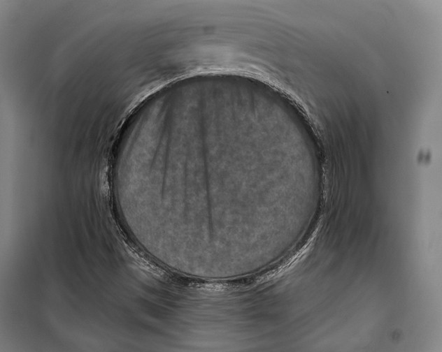 X0000099501497200806121403