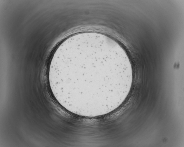 X0000099501498200806121403