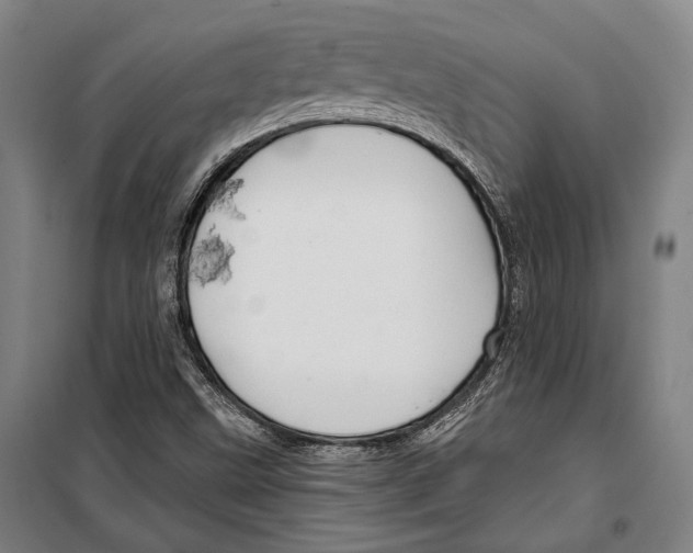 X0000099501499200806121403