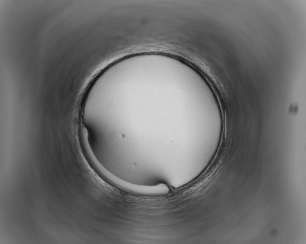 X0000099501500200806121403