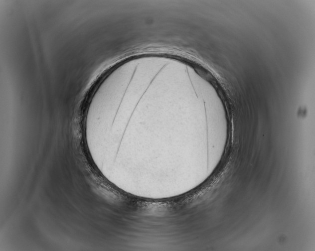 X0000099501501200806121403