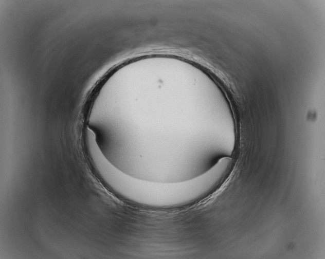 X0000099501502200806121403