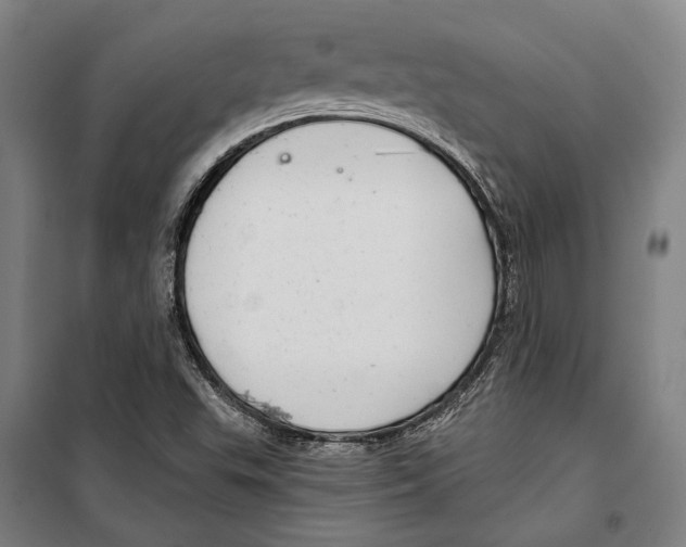 X0000099501503200806121403