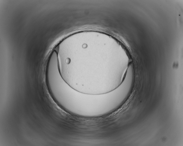 X0000099501504200806121403