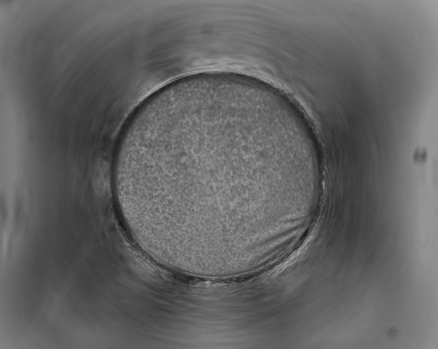 X0000099501505200806121403