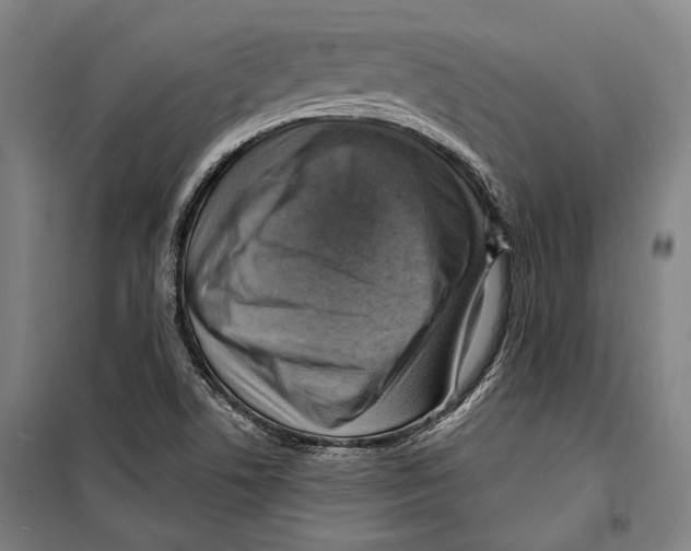 X0000099501506200806121403