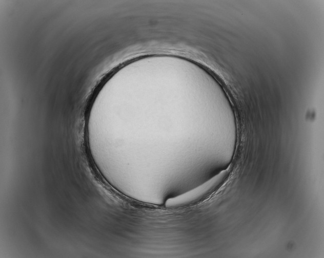 X0000099501507200806121403