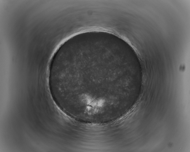 X0000099501508200806121403