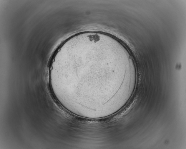 X0000099501509200806121403