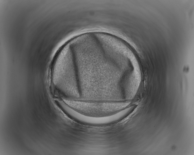 X0000099501510200806121403