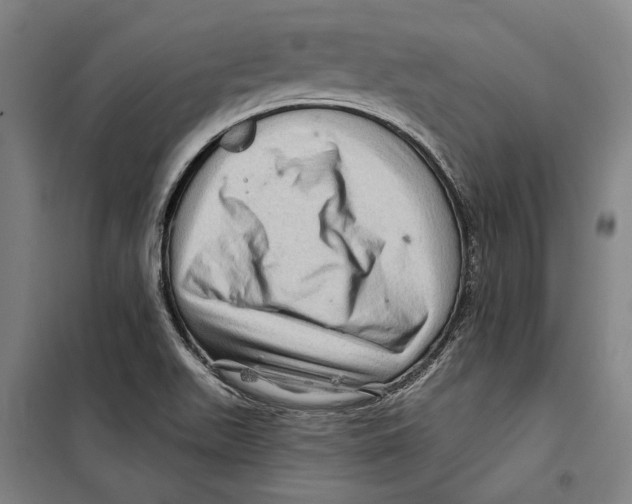 X0000099501511200806121403