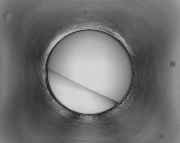 X0000099501512200806121403