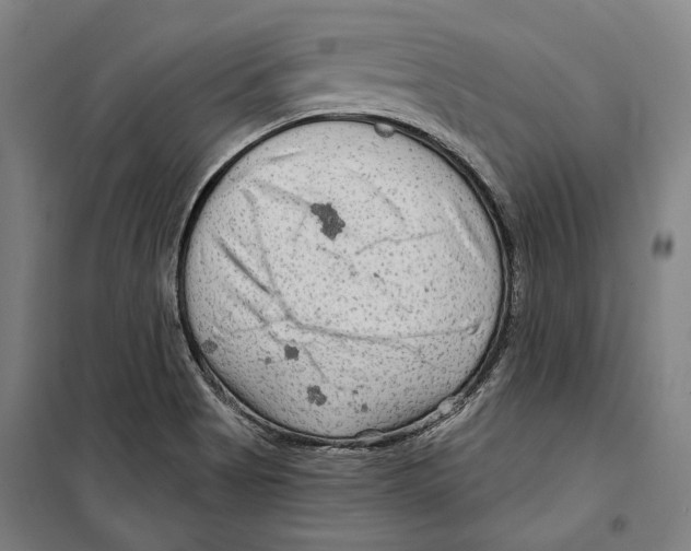 X0000099501513200806121403