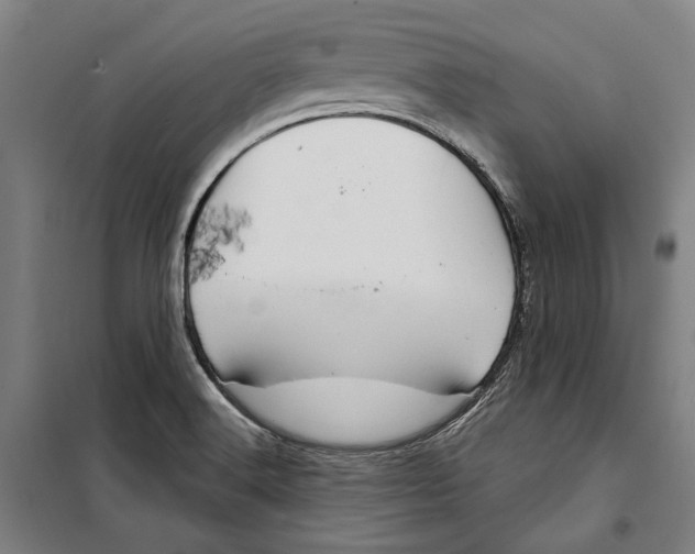 X0000099501516200806121403