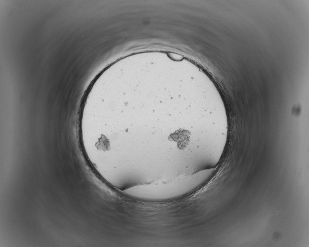 X0000099501518200806121403