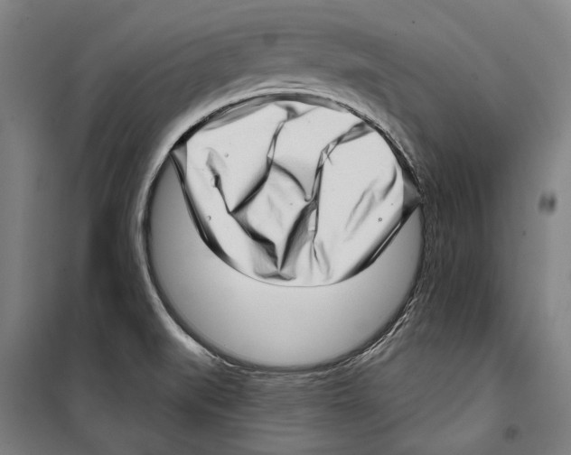 X0000099501519200806121403