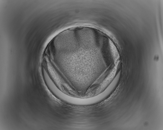 X0000099501520200806121403