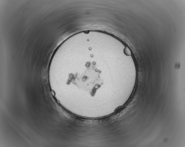 X0000099501521200806121403