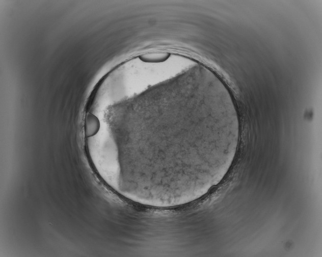 X0000099501522200806121403