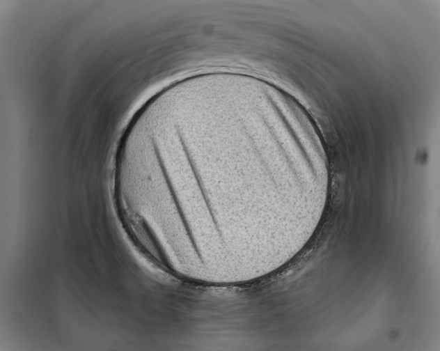 X0000099501523200806121403