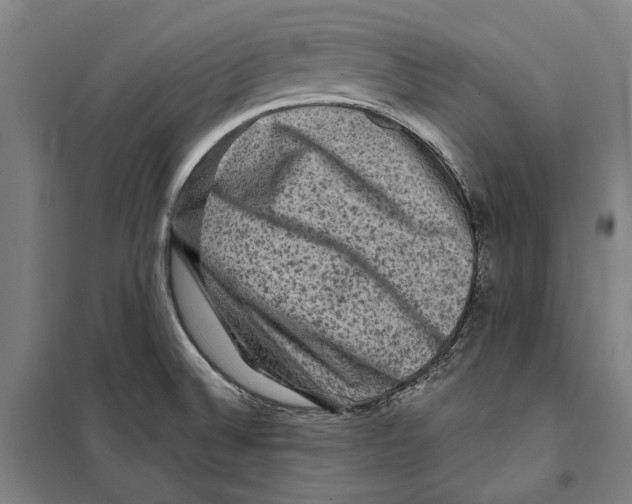 X0000099501524200806121403