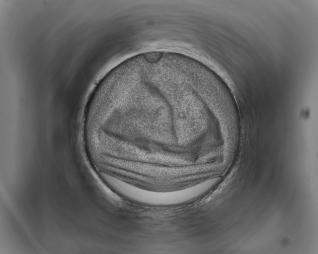 X0000099501525200806121403