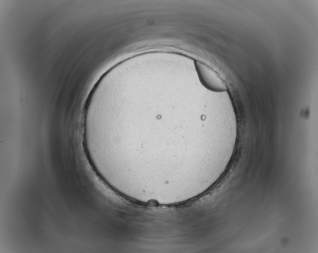 X0000099501526200806121403