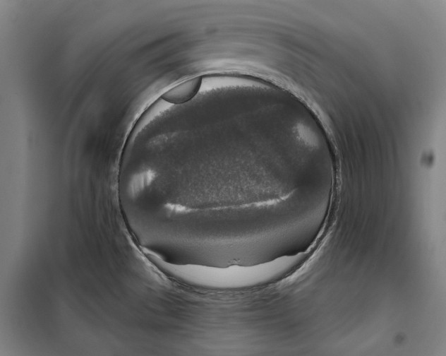 X0000099501529200806121403