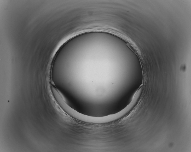 X0000099501530200806121403