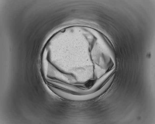 X0000099501531200806121403