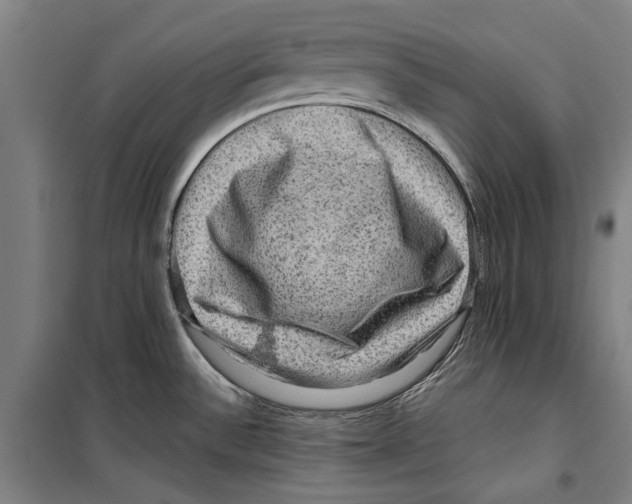 X0000099501532200806121404