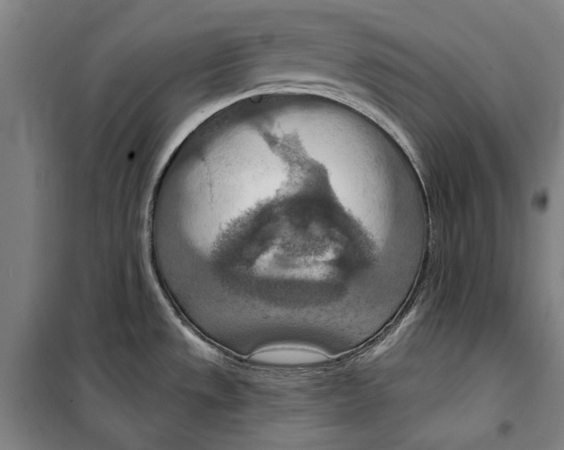 X0000099501533200806121404