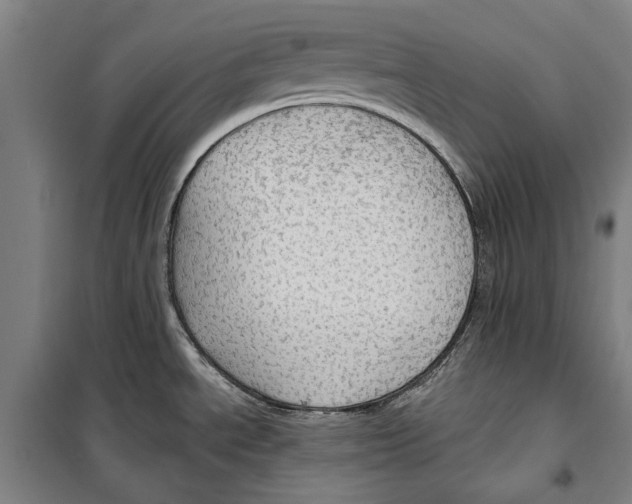 X0000099501534200806121404