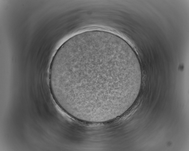 X0000099501535200806121404