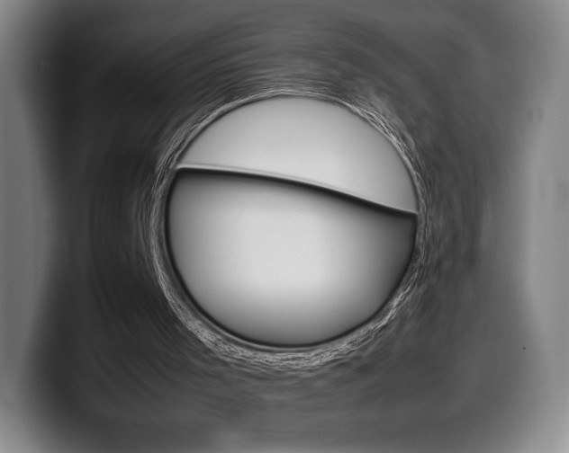 X0000099510001200805151021