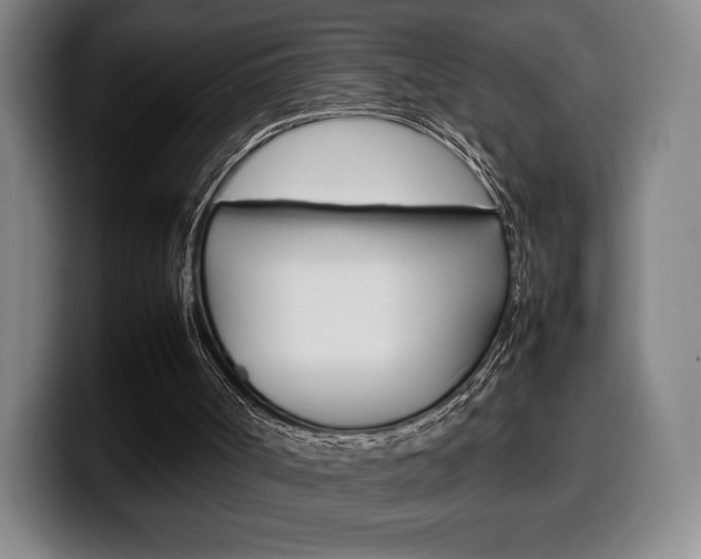 X0000099510002200805151021