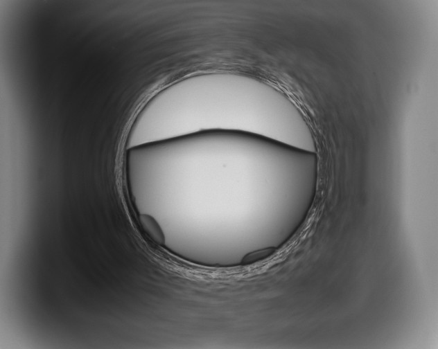 X0000099510003200805151021