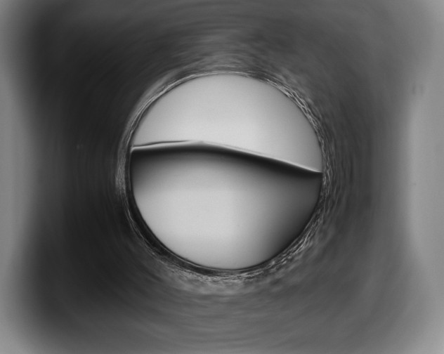 X0000099510004200805151021